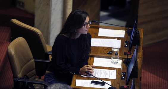 Diputados DC rechazan declaraciones de Vallejo y defienden derecho a mejorar proyectos del Gobierno Diputados DC rechazan declaraciones de Vallejo y defienden derecho a mejorar proyectos del Gobierno