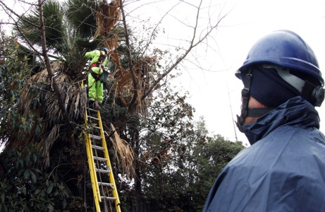 Chilectra anuncia recursos para evitar cargos de la SEC ante cortes de luz por temporal Chilectra anuncia recursos para evitar cargos de la SEC ante cortes de luz por temporal