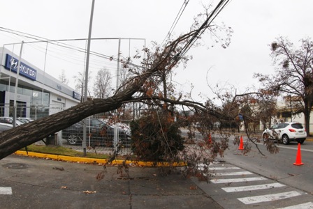 Unos 170.000 hogares sin electricidad por temporal de viento y lluvia Unos 170.000 hogares sin electricidad por temporal de viento y lluvia