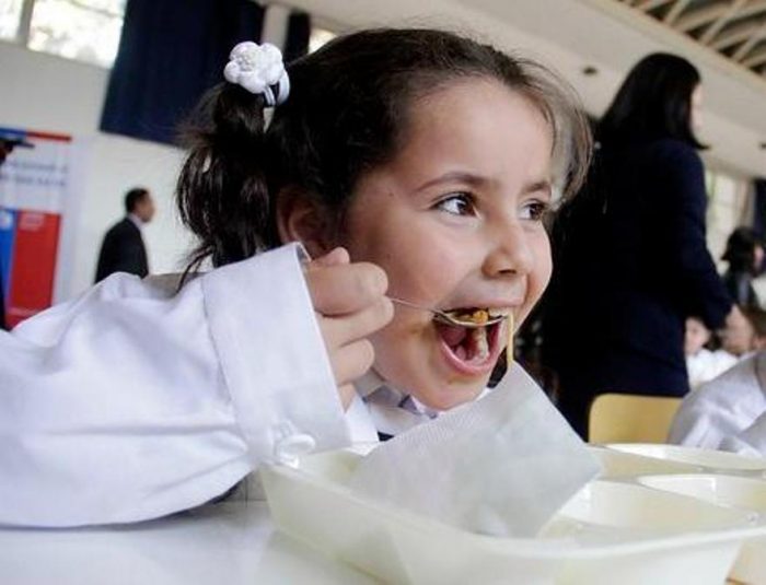 Fiscalizarán a manipuladoras de alimentos en 427 establecimientos educacionales Fiscalizarán a manipuladoras de alimentos en 427 establecimientos educacionales