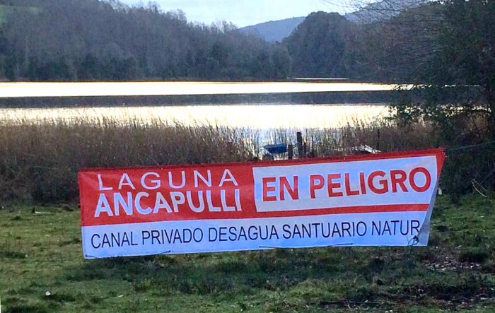 El drama del «exterminio ambiental» de la laguna Ancapulli en Pucón El drama del