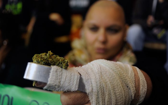 Sin apoyo del Gobierno, Cámara de Diputados aprueba en general proyecto que permite autocultivo de marihuana Sin apoyo del Gobierno, Cámara de Diputados aprueba en general proyecto que permite autocultivo de marihuana