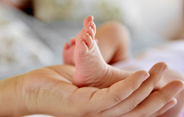 Postnatal de emergencia sigue sin respuesta: “hoy día estas familias no cuentan con jardines infantiles, guardería, no tienen la red de apoyo tradicional (…) toda la gente está asustada del contagio, de la muerte” Postnatal de emergencia sigue sin respuesta: “hoy día estas familias no cuentan con jardines infantiles, guardería, no tienen la red de apoyo tradicional (…) toda la gente está asustada del contagio, de la muerte”
