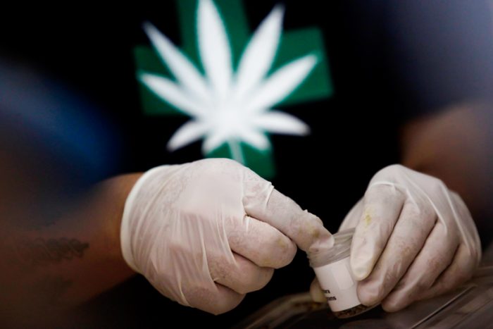 Argentina aprueba el uso medicinal de la marihuana Argentina aprueba el uso medicinal de la marihuana