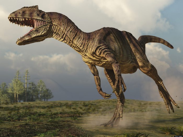 Nadie quiso comprar el esqueleto de un Allosaurus de 155 millones de años Nadie quiso comprar el esqueleto de un Allosaurus de 155 millones de años