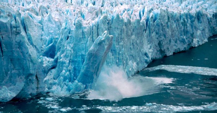 La rápida acidificación, una amenaza para el ecosistema del océano Antártico
