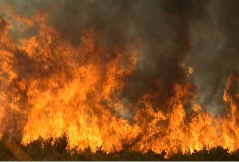 Seis incendios forestales permanecen activos Seis incendios forestales permanecen activos