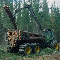 Reactivación del fomento a la forestación