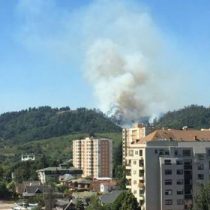 Declaran alerta roja para Temuco por incendio forestal