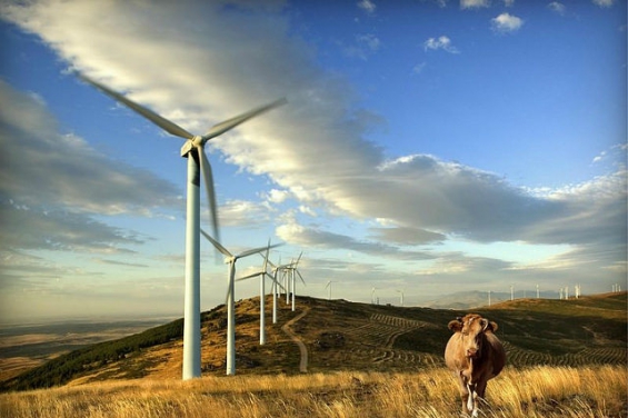 Cómo Uruguay logró ser el país con mayor porcentaje de energía eólica de América Latina