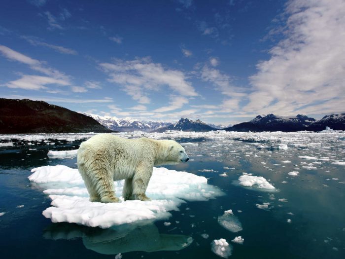 Cambio climático habrá causado medio millón de muertes para 2050 Cambio climático habrá causado medio millón de muertes para 2050