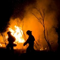 Onemi actualiza cifra de incendios forestales: todavía hay 43 siniestros activos