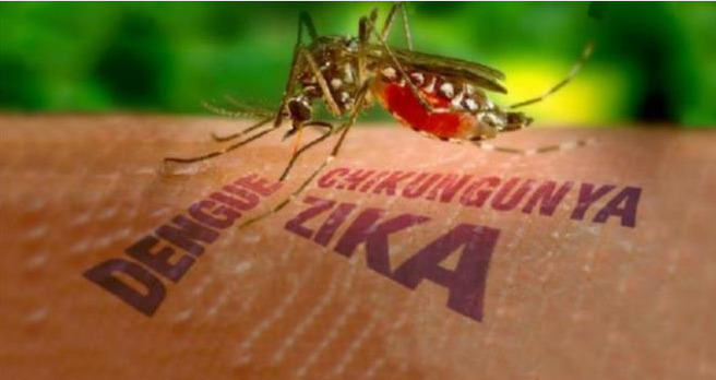 Ministerio de Salud confirma primer caso de virus Zika autóctono y transmitido por vía sexual en el país Ministerio de Salud confirma primer caso de virus Zika autóctono y transmitido por vía sexual en el país
