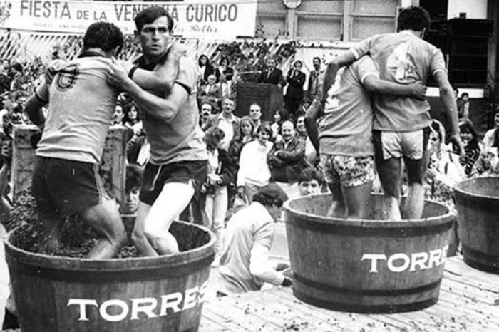 Fiesta de la Vendimia de Curicó va por su trigésima versión Fiesta de la Vendimia de Curicó va por su trigésima versión