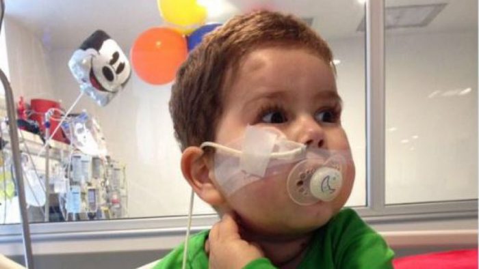 10 mil 335 chilenos han dicho ante notaría que no quieren ser donantes de órganos 10 mil 335 chilenos han dicho ante notaría que no quieren ser donantes de órganos