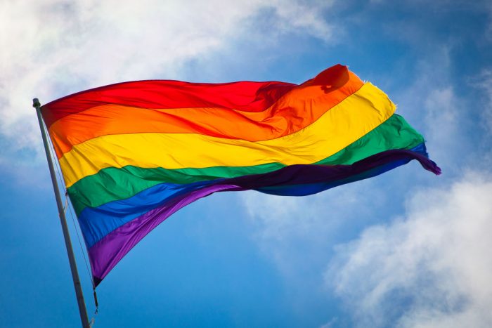 Ministerio de la Mujer y Equidad de Género buscaría crear una Subsecretaría LGBT+ Ministerio de la Mujer y Equidad de Género buscaría crear una Subsecretaría LGBT+