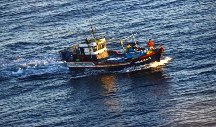 Armada capturó a embarcación peruana en Zona Económica Exclusiva chilena con cerca de 40 tiburones en su interior