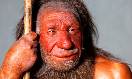 Estudio revela cómo la dieta cárnica forjó físicamente la evolución humana Estudio revela cómo la dieta cárnica forjó físicamente la evolución humana