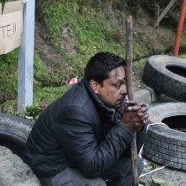Chao pescao: el fin del sueño salmonero en Chiloé