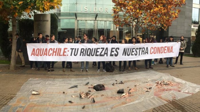 Estudiantes de la Confech y secundarios arrojan pescados frente a oficina salmonera en apoyo a pescadores de Chiloé Estudiantes de la Confech y secundarios arrojan pescados frente a oficina salmonera en apoyo a pescadores de Chiloé