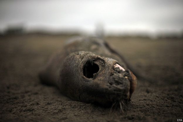 Chile país contaminado Chile país contaminado