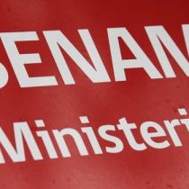 Presidenta de funcionarios del Sename: 