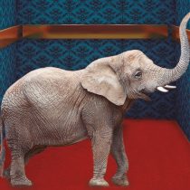 “El elefante desaparece”, de Murakami (un autor para leer en tiempos de crisis)