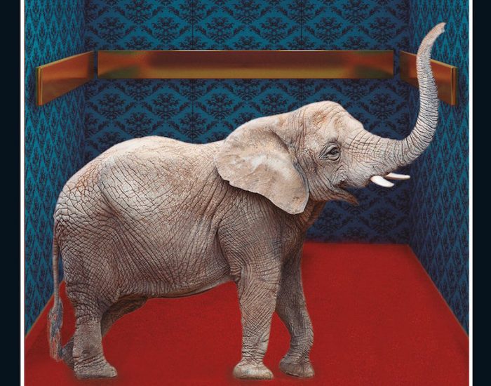“El elefante desaparece”, de Murakami (un autor para leer en tiempos de crisis) “El elefante desaparece”, de Murakami (un autor para leer en tiempos de crisis)