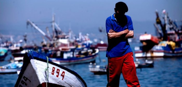 “La paciencia se agotó”: industria pesquera del Biobío se va a paro indefinido por ley que regula captura de la jibia “La paciencia se agotó”: industria pesquera del Biobío se va a paro indefinido por ley que regula captura de la jibia