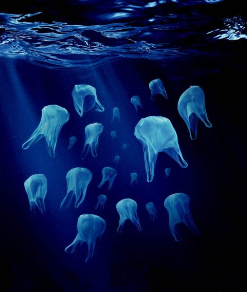 Empresas alemanas preparan sistema para sacar los plásticos del mar Empresas alemanas preparan sistema para sacar los plásticos del mar