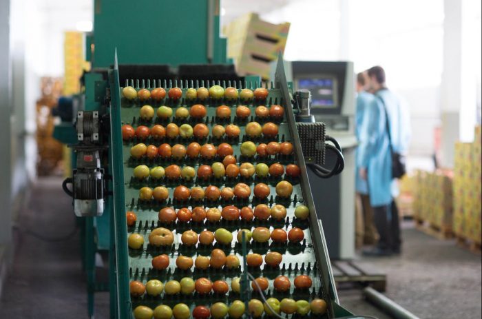 Putin quiere hacer de Rusia una potencia de los alimentos sanos Putin quiere hacer de Rusia una potencia de los alimentos sanos