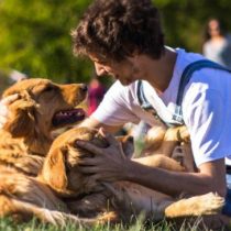 Minsal recula norma que restringía número de mascotas según tamaño de vivienda 