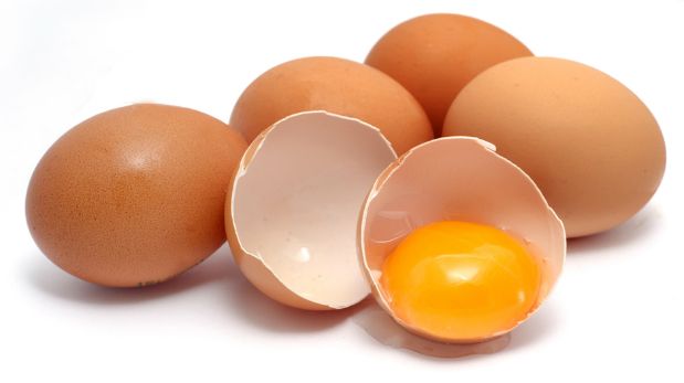 La startup chilena que creó un detector portátil de dioxinas en alimentos La startup chilena que creó un detector portátil de dioxinas en alimentos