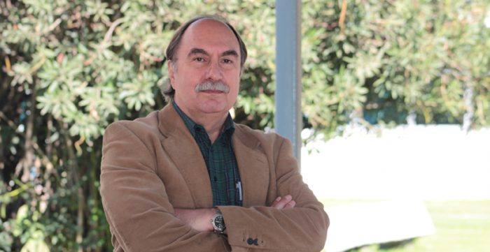 Julio Pinto, candidato a Premio Nacional de Historia: «La Constitución debería contar con nuestra participación y deliberación activa»