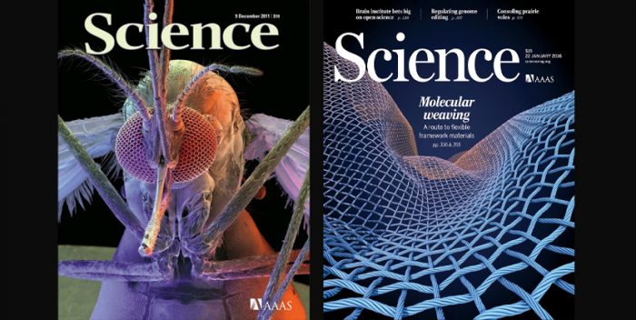Revista Science pide preservar la colaboración científica tras el “brexit” Revista Science pide preservar la colaboración científica tras el “brexit”