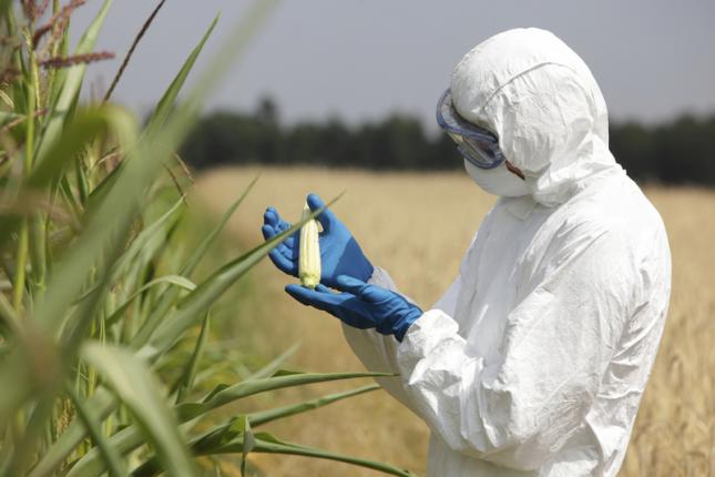 Las normas alimentarias, un abismo en la negociación comercial de EEUU y UE Las normas alimentarias, un abismo en la negociación comercial de EEUU y UE