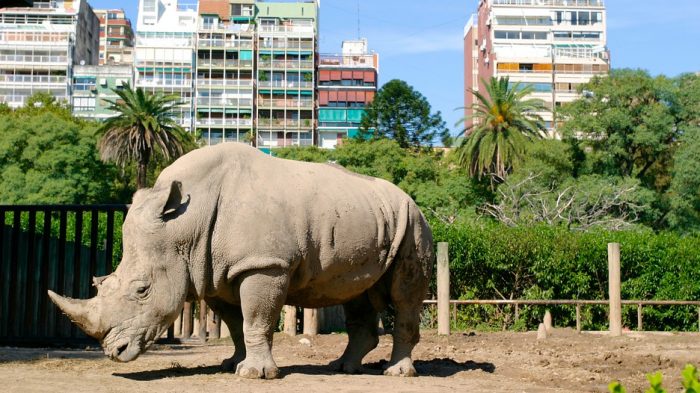 Cierran zoológico de Buenos Aires: 
