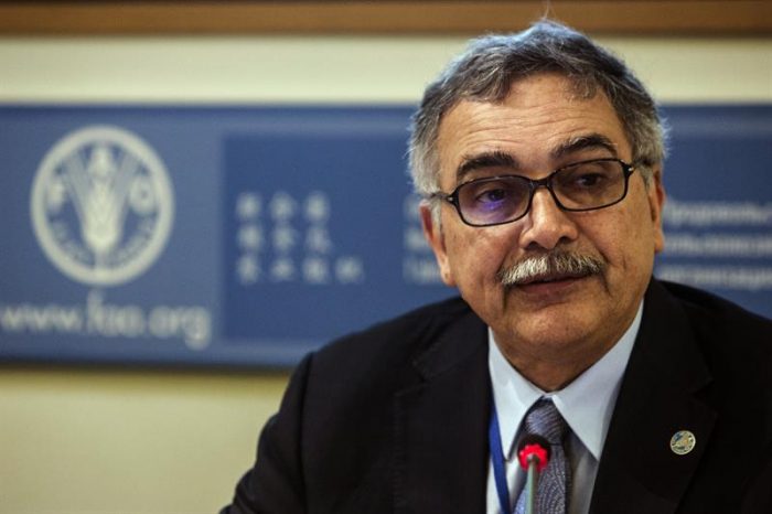 FAO: “Sabemos cómo manejar los bosques templados pero no los tropicales” FAO: