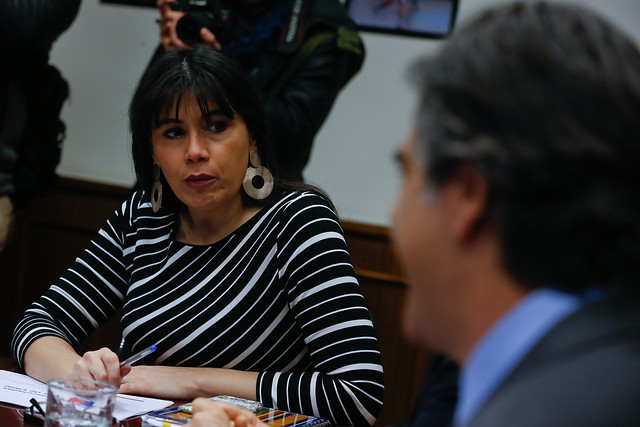 Ministra Javiera Blanco anuncia “gran número de desvinculaciones” en Gendarmería Ministra Javiera Blanco anuncia