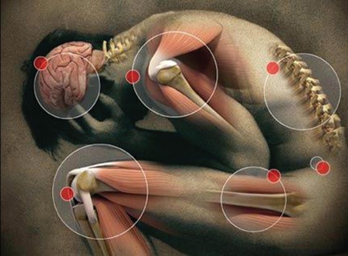 Neurocientíficos chilenos crean moléculas en laboratorio para inhibir el dolor corporal Neurocientíficos chilenos crean moléculas en laboratorio para inhibir el dolor corporal