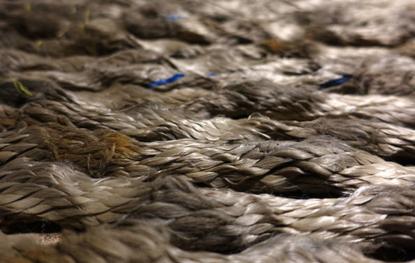 Exposición “Espías en el fondo del mar” de Catalina Bauer en Die Ecke Arte Contemporáneo, 6 de agosto al 10 de septiembre Exposición “Espías en el fondo del mar” de Catalina Bauer en Die Ecke Arte Contemporáneo, 6 de agosto al 10 de septiembre