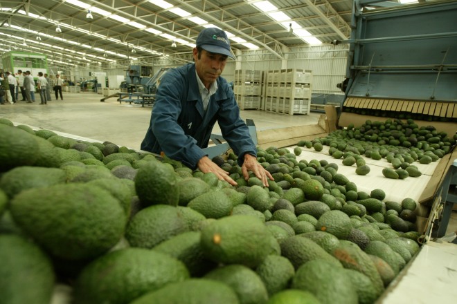 Inflación registró una variación de 0,4% en junio, levemente por sobre las proyecciones Inflación registró una variación de 0,4% en junio, levemente por sobre las proyecciones
