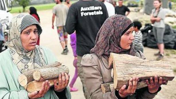 Los campos de refugiados, demasiado dependientes de la leña Los campos de refugiados, demasiado dependientes de la leña