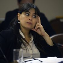 Diputado UDI defiende a subsecretario Soto y le pide a la ministra Blanco “dar un paso al costado”