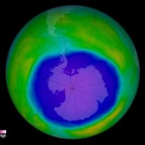 Cuáles son las razones por las que la capa de ozono se está 