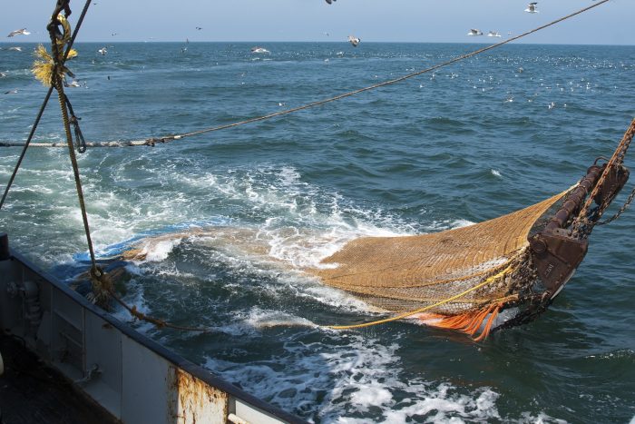 Un mar de promesas Un mar de promesas