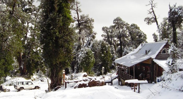 La Posada de El Taique: La defensa selvática de una familia en medio del bosque La Posada de El Taique: La defensa selvática de una familia en medio del bosque