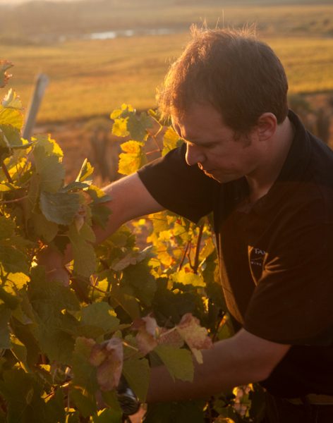 La suma de factores que permiten a Tamaya producir vinos premium de categoría mundial La suma de factores que permiten a Tamaya producir vinos premium de categoría mundial