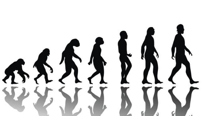 Darwin y las mutaciones Darwin y las mutaciones
