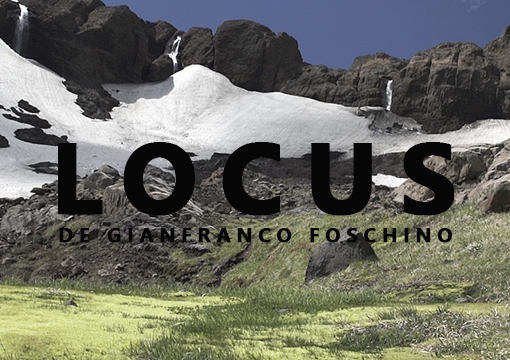 Exposición LOCUS de Gianfranco Foschino en en el Museo de Artes Visuales de Santiago, 11 de Agosto al 16 de Octubre
